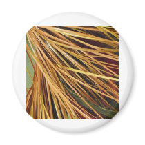 Autumn  Lines magnets