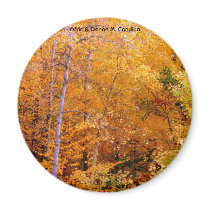 Autumn Fridge Magnets