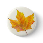 Autumn Maple Leaf in Shades of Gold Button
