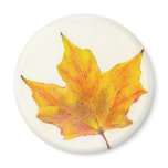 Autumn Maple Leaf in Shades of Gold Fridge Magnet