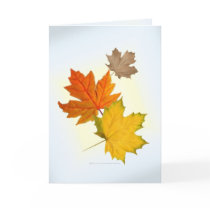 Autumn Maple Leaves Card by Rockangel1 Autumn Maple Leaves Card