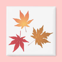 Autumn Maple Leaves Collection magnets