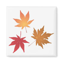 Autumn Maple Leaves Collection magnets by White_Wedding Autumn Maple Leaves Collection magnets