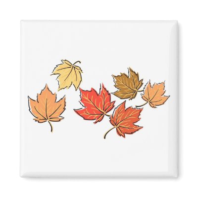 Autumn Maple Leaves Magnets