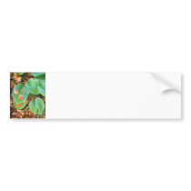 Autumn Maple Leaves on Hosta Bumper Stickers