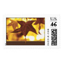 Autumn Maple Leaves postage by kdahrens Autumn Maple Leaves postage