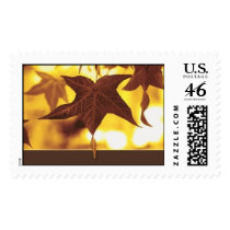 Autumn Maple Leaves postage by kdahrens Autumn Maple Leaves postage