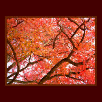 Autumn Maple Trees Print Landscape Poster posters