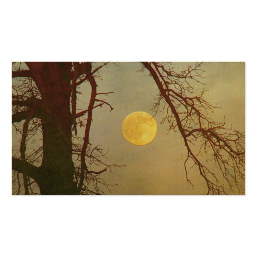 Autumn Moon Business Card (back side)