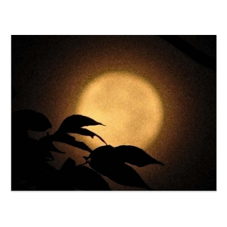 Autumn Moon