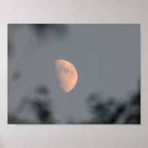 Autumn Moon Print