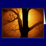 Autumn Moon Shining Through the Tree cards