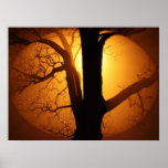 Autumn Moon Shining Through the Tree Print