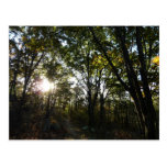 Autumn Morning at Shenandoah Postcard