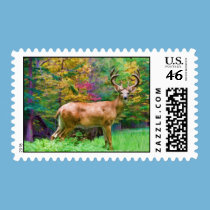 Autumn Morning Postage Stamp stamps