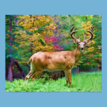 Autumn Morning Print posters