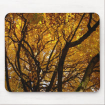 Autumn Mousepad Beautiful Autumn Landscape Gifts mousepads