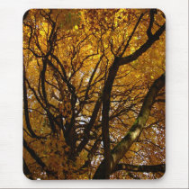 Autumn Mousepad Beautiful Autumn Landscape Gifts mousepads