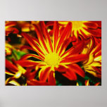 Autumn Mum Poster