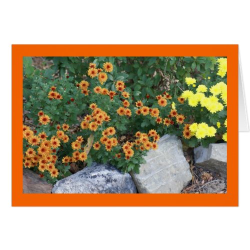Autumn Mums card