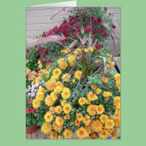 Autumn Mums cards