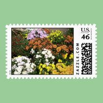 Autumn Mums postage