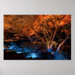 Autumn Night Lights - Print