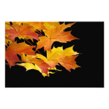 Autumn Night. Photograph