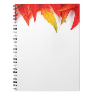 Autumn Notebook fuji_notebook