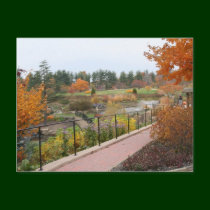 Autumn on Holden Pond postcards