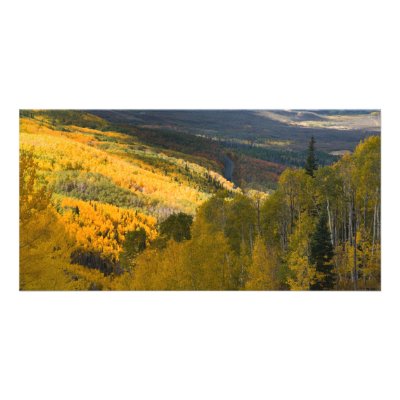 Autumn on the Grand Mesa Customized Photo Card by bluerabbit