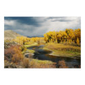 Autumn on the Gunnison River, Colorado posters by SusieRieple Autumn on the Gunnison River, Colorado posters