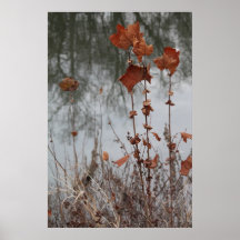 Autumn on the Ohio river Print