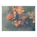 Autumn on the Swamp posters by Matrinka Autumn on the Swamp posters