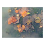 Autumn on the Swamp posters