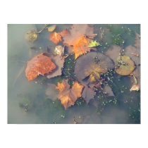 Autumn on the Swamp posters by Matrinka Autumn on the Swamp posters
