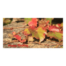 Autumn or Fall Leaves photo cards by Ljrigg Autumn or Fall Leaves photo cards