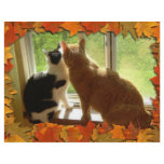 Autumn Orange Tabby Cats Flyer Design