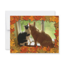 Autumn Orange Tabby Cats invitations