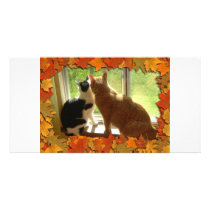 Autumn Orange Tabby Cats Photo Card