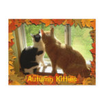 Autumn Orange Tabby Cats Post Cards