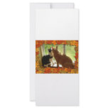 Autumn Orange Tabby Cats Personalized Rack Card
