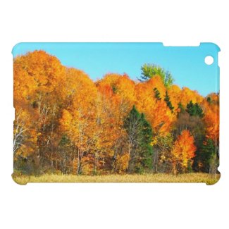 Autumn Orange Trees Canada iPad mini case