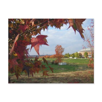 Autumn Over the Convo Postcard by imaginingsbykristy