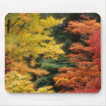 Autumn Palette mousepads