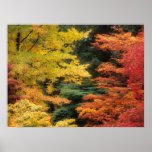 Autumn Palette Posters
