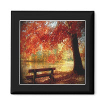 Autumn Park Magnet