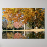 Autumn Park, Pond Posters