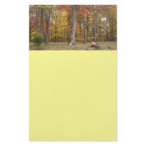 Autumn Park Stationery