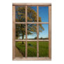 window, scenes, views, autumn, park, oak, tree,